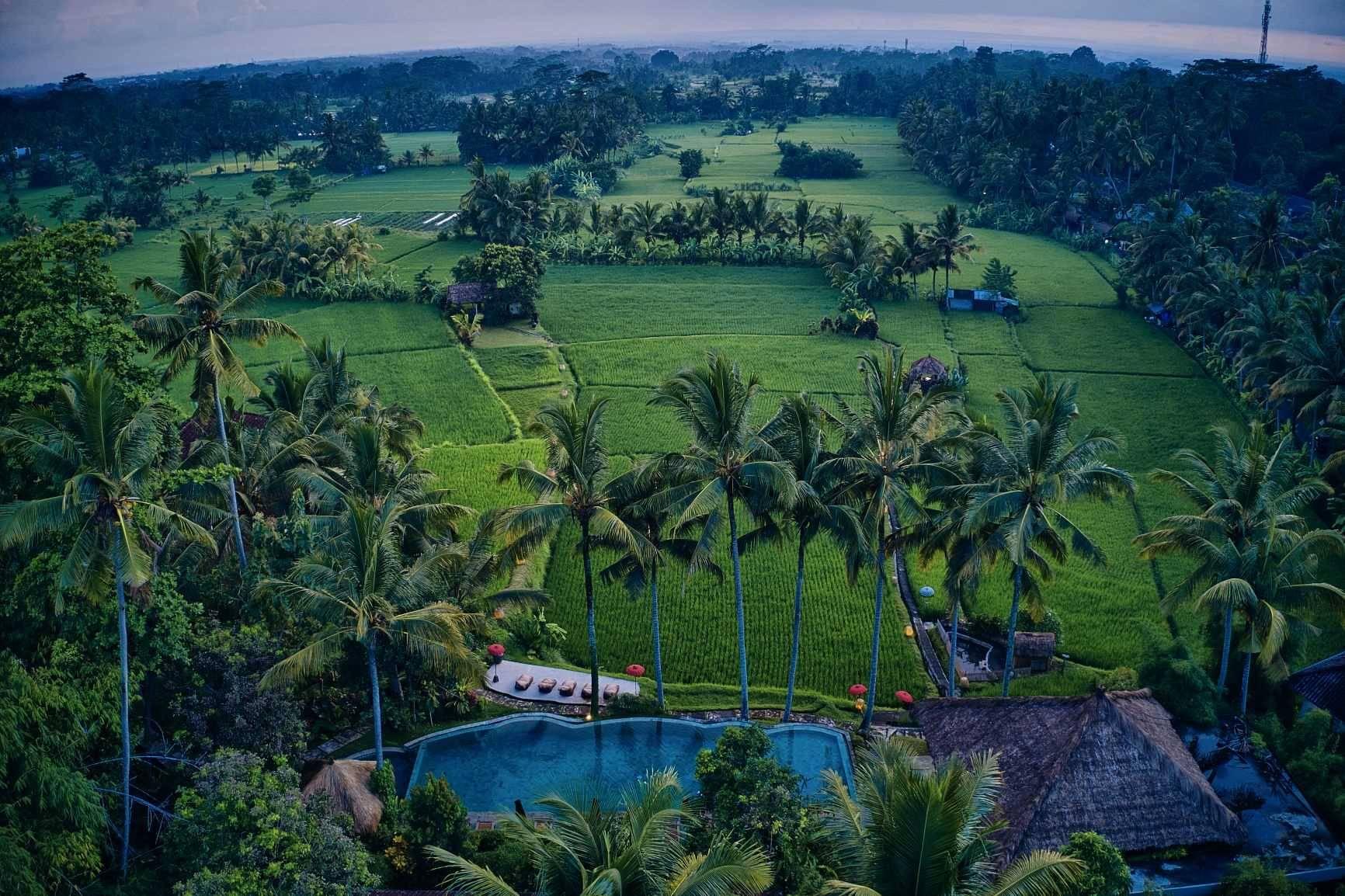 Mathis Retreat Ubud Exterior foto