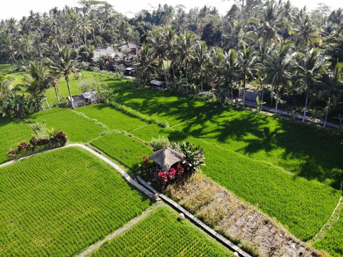 Mathis Retreat Ubud Exterior foto